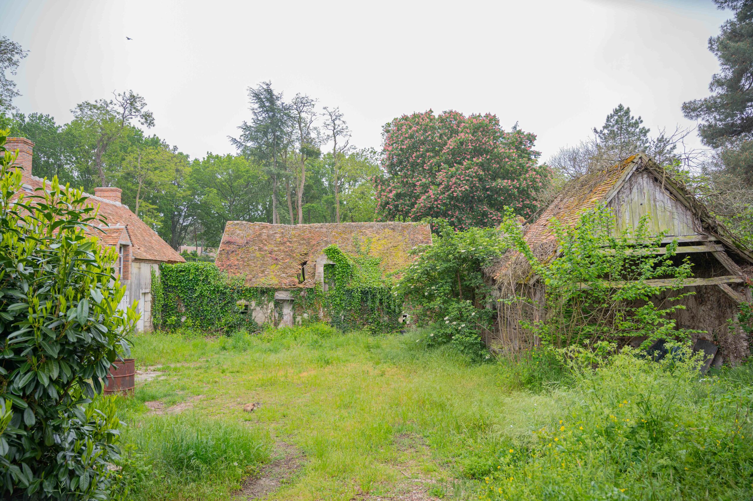 Village de Saint-Benoît-sur-Loire Village de Saint-Benoît-sur-Loire