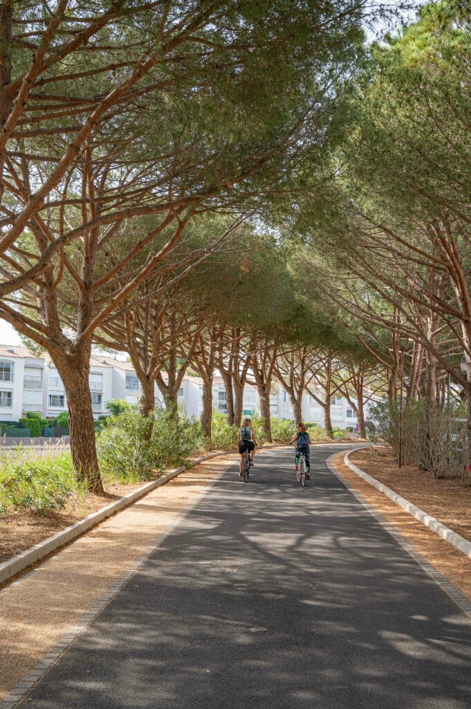 Piste Cyclable de Saint-Cyprien