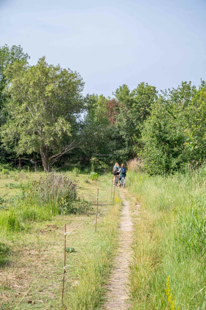 Piste Cyclable de Saint-Cyprien