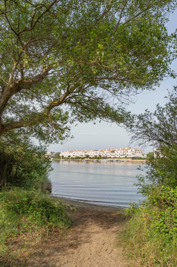 Lagune de Saint-Cyprien