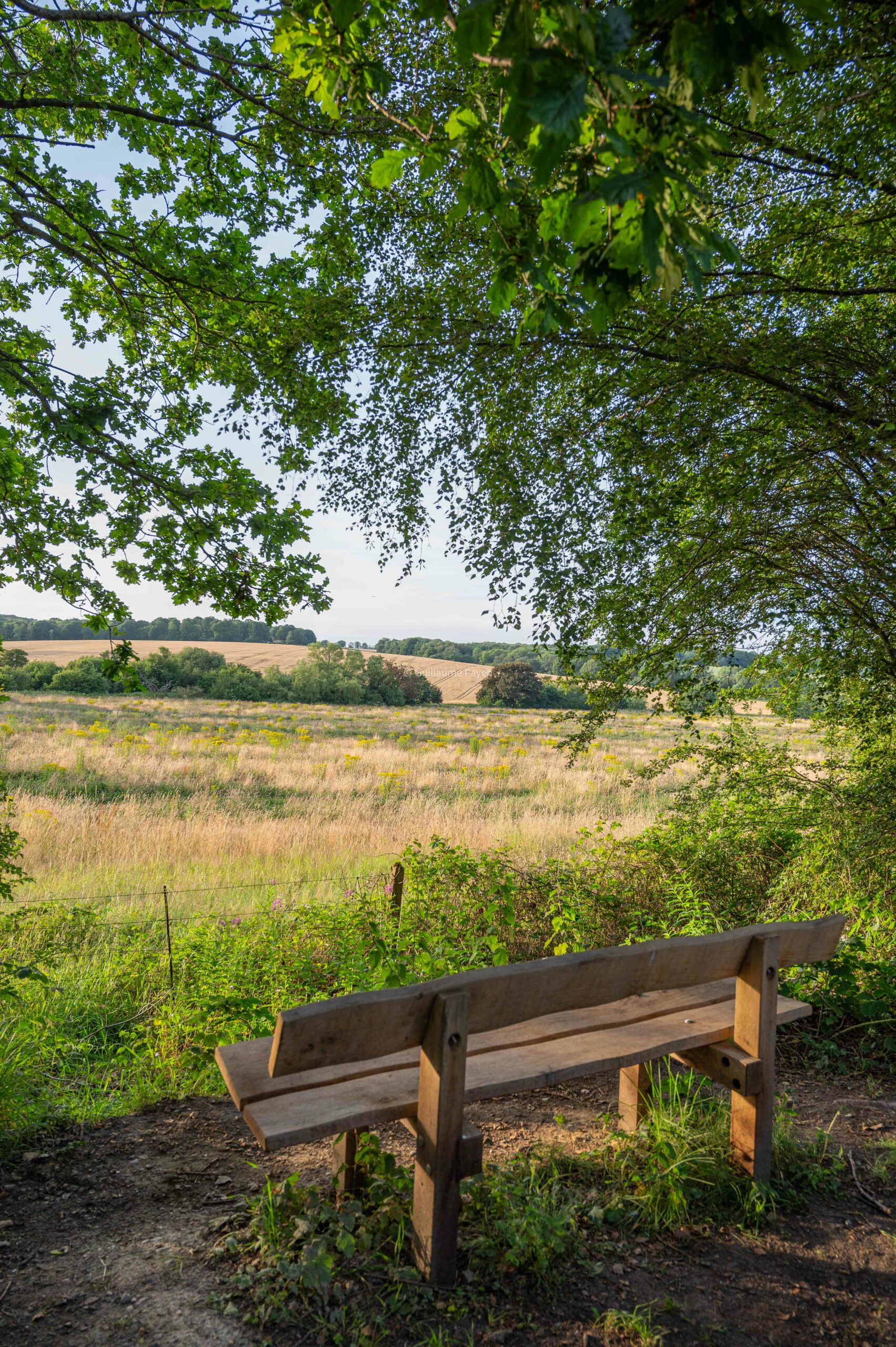 camapgne anglaise, on voit un banc vue sur les chamlps entouré d'arbres 