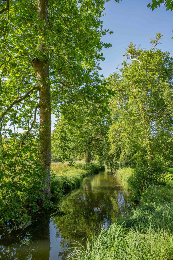 Un canal dans le parc dâteau ch