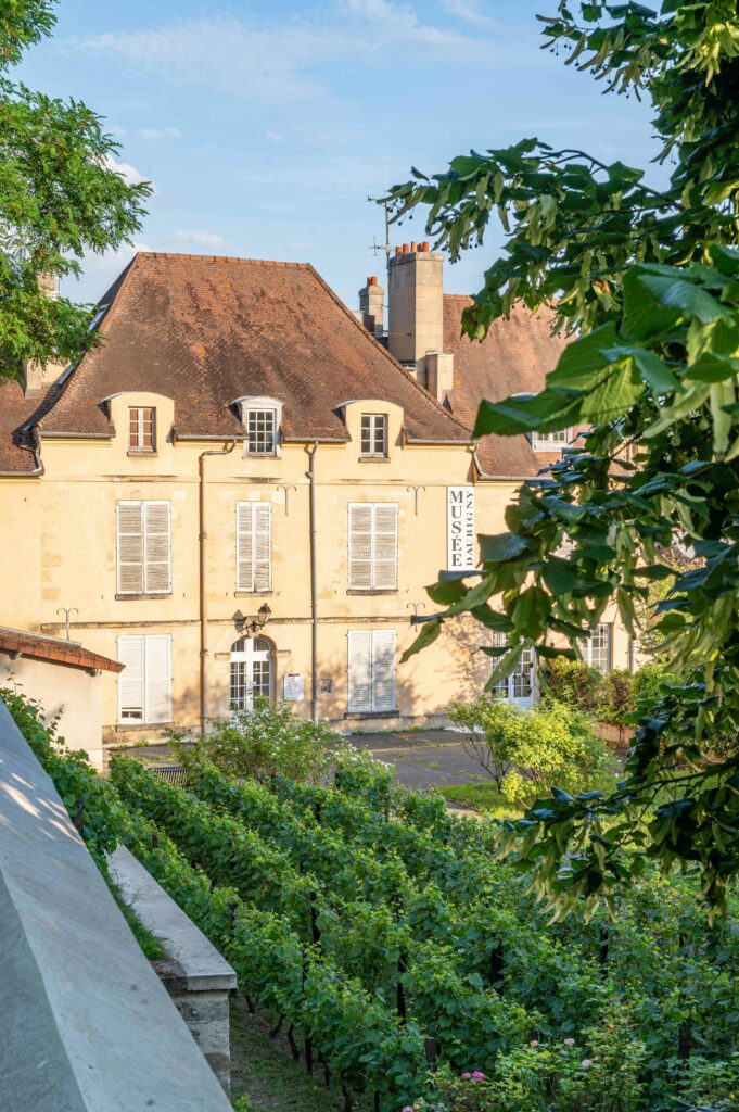 Maison bourgeoise avec des vignes devant 