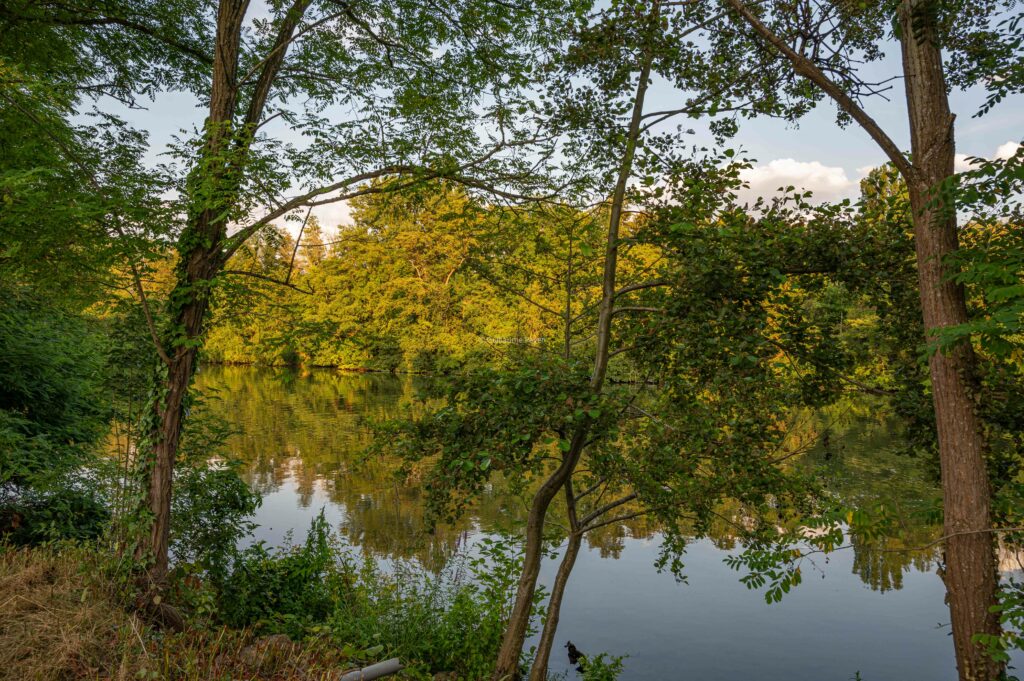 Le long de la rivière au coucher de soleil 