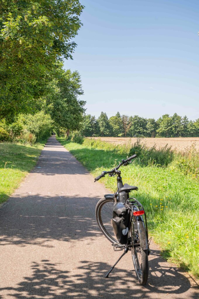 Un vélo sur le chemin de l'avenue verte Lon