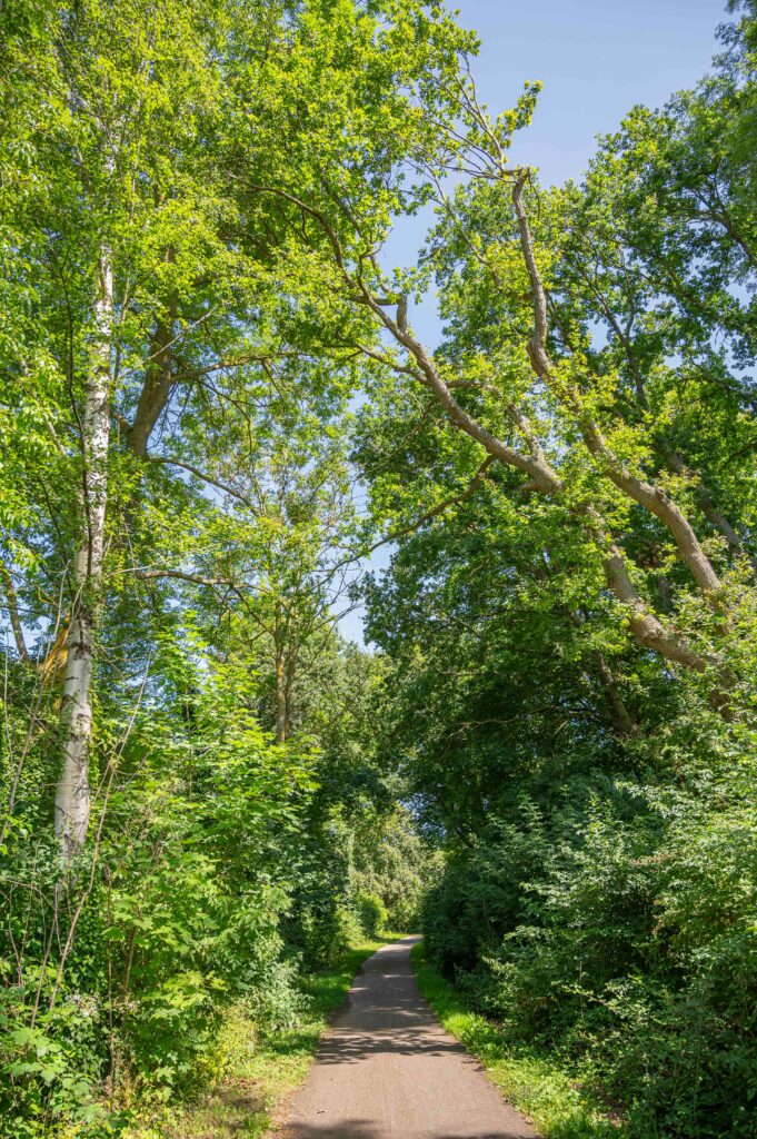 Chemin le long de l'Epte