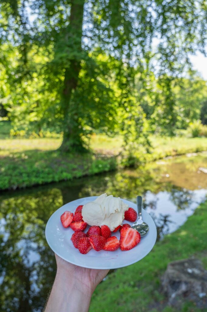 Une assiette de chantilly maison avec des fraises autour