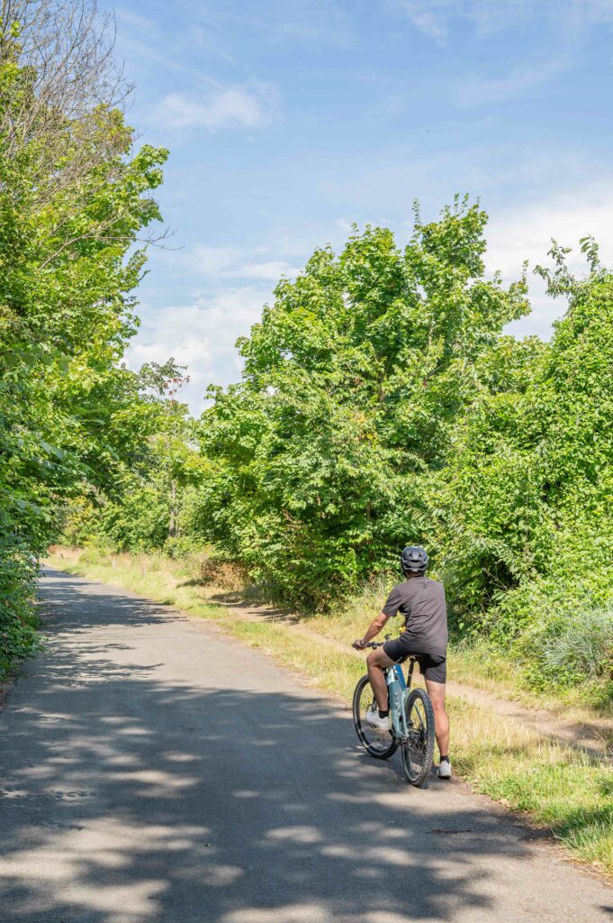 Un cycliste sur l'avenue verte 