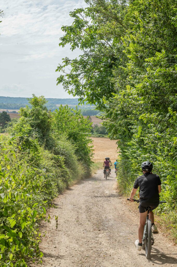 Des vélos descendent un chemin 