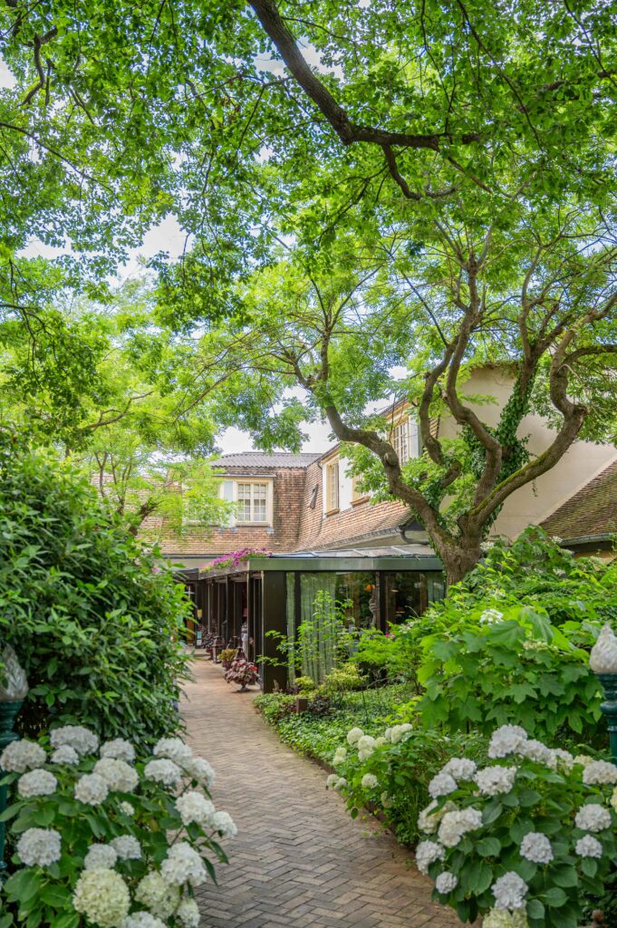 La terrasse absolument magnifique avec des hortensia 