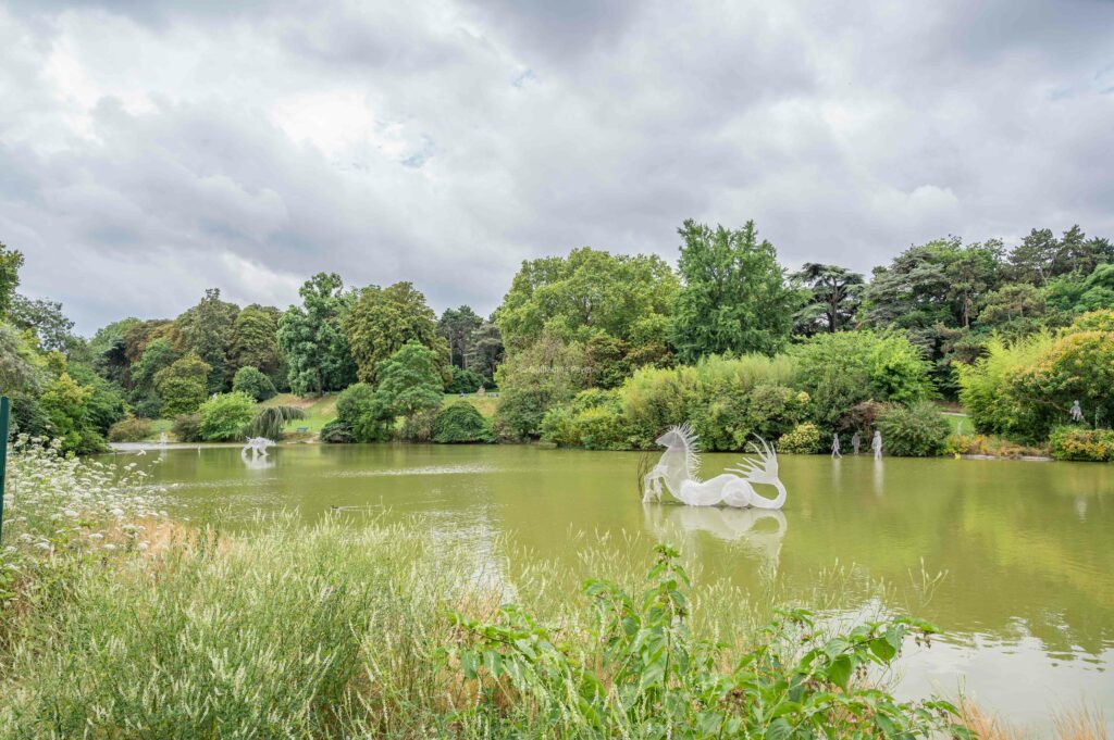 Point d'eau du parc