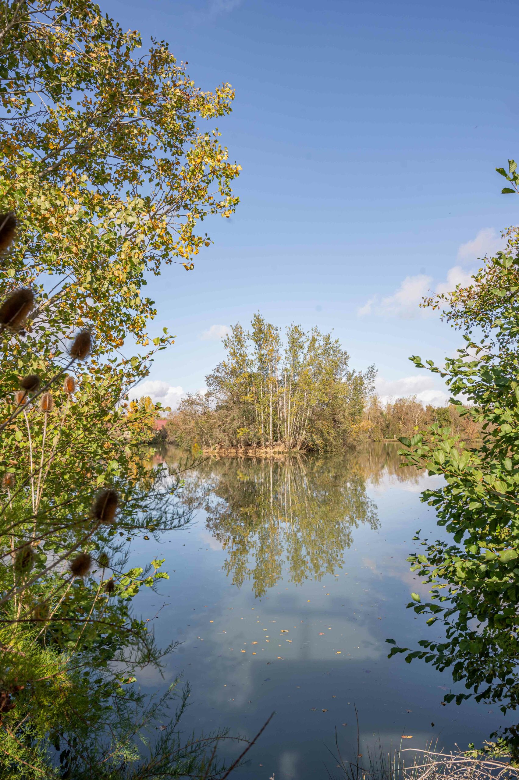Vue sur le chemin arboré qui longe le Lac de l'Isle Jourdain 