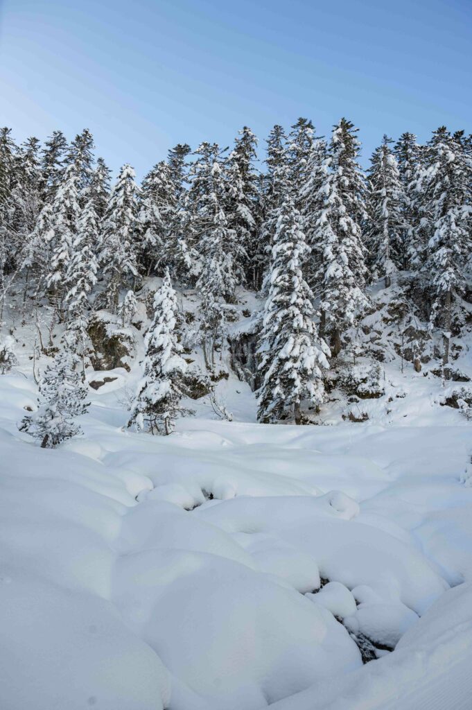 Cauterets Pont d'Espagne accessible en train et car - guillaume payen blog Voyage