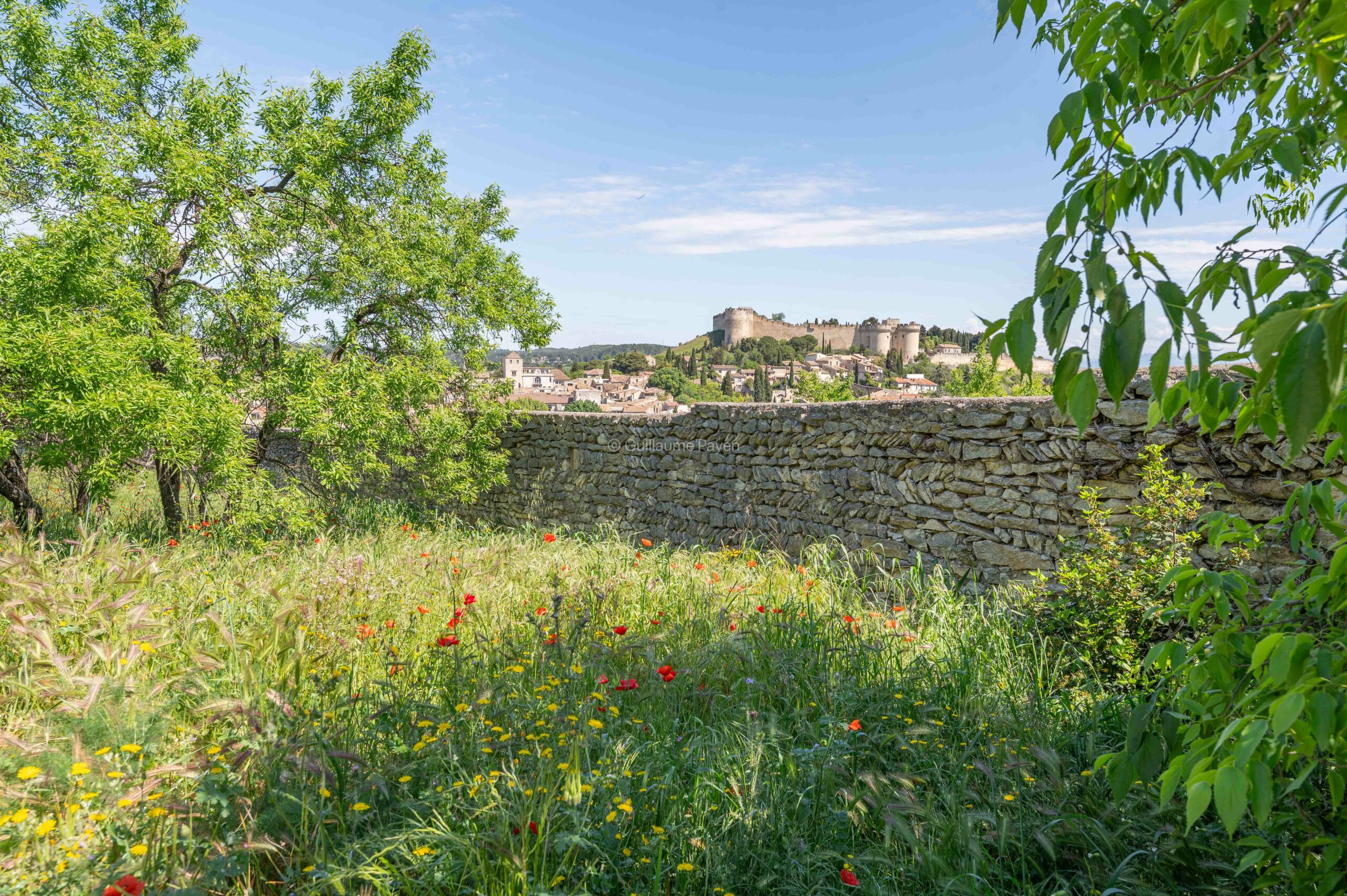 La colline des Mourgues à Villeneuve les Avignon La colline des Mourgues à Villeneuve les Avignon