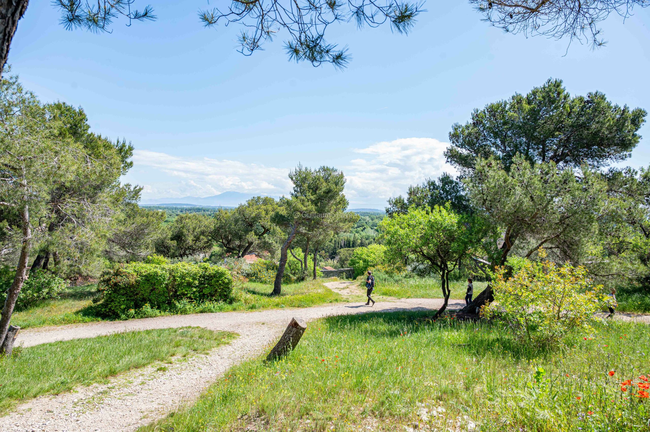 La colline des Mourgues à Villeneuve les Avignon La colline des Mourgues à Villeneuve les Avignon