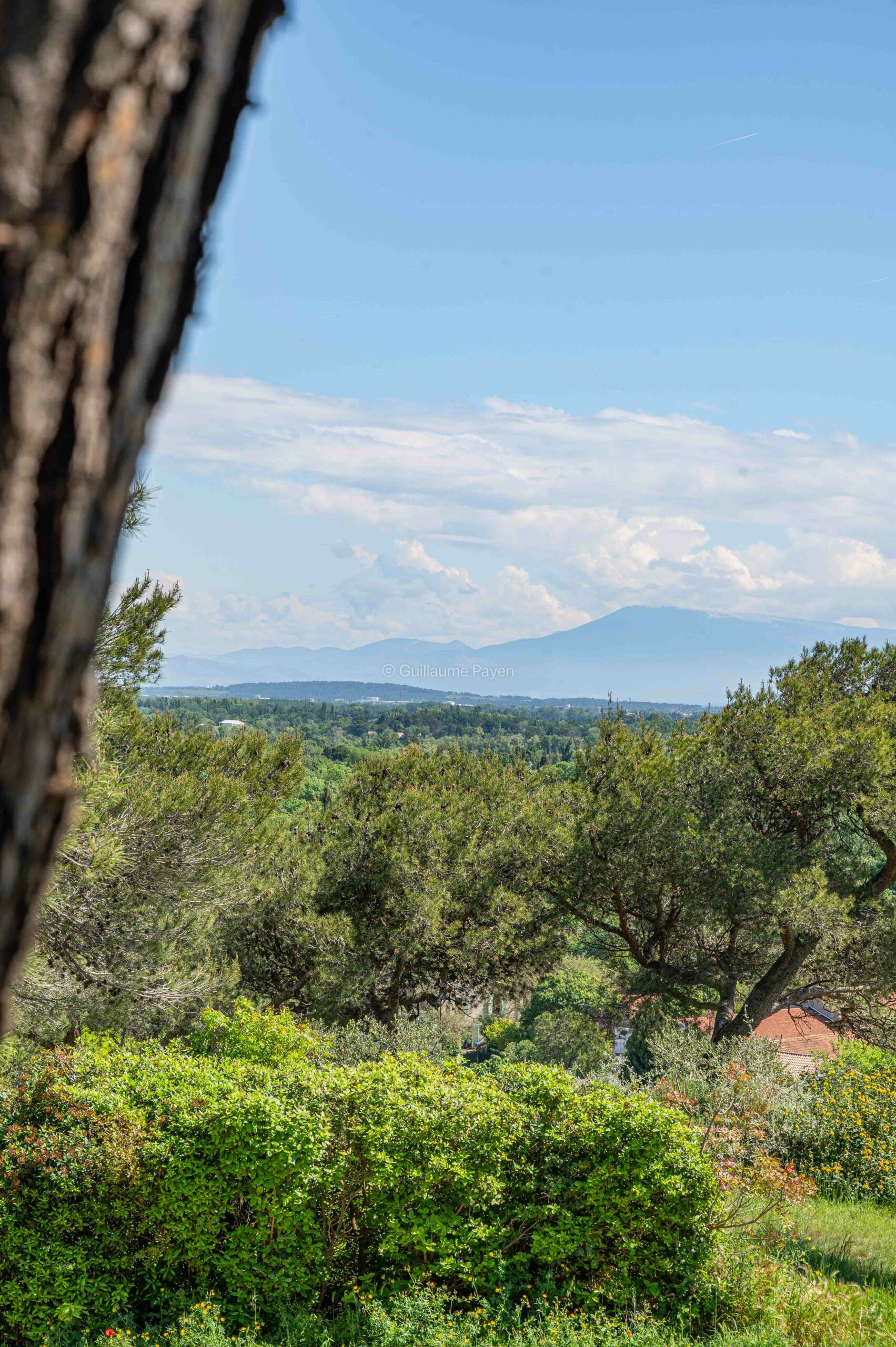 La colline des Mourgues à Villeneuve les Avignon La colline des Mourgues à Villeneuve les Avignon