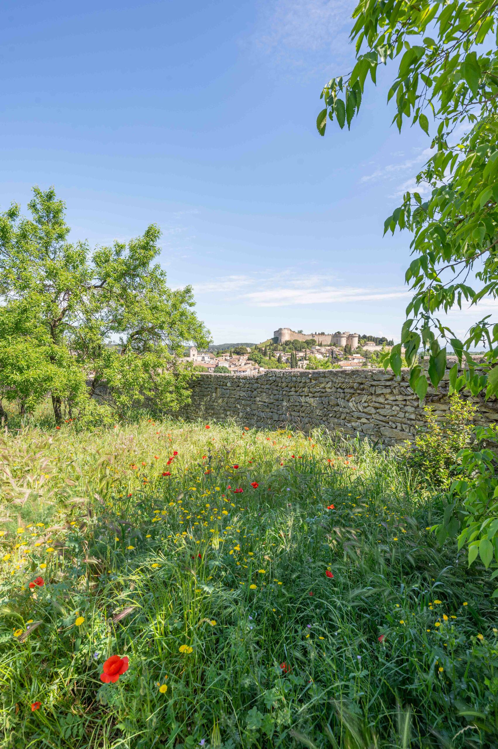 La colline des Mourgues à Villeneuve les Avignon La colline des Mourgues à Villeneuve les Avignon