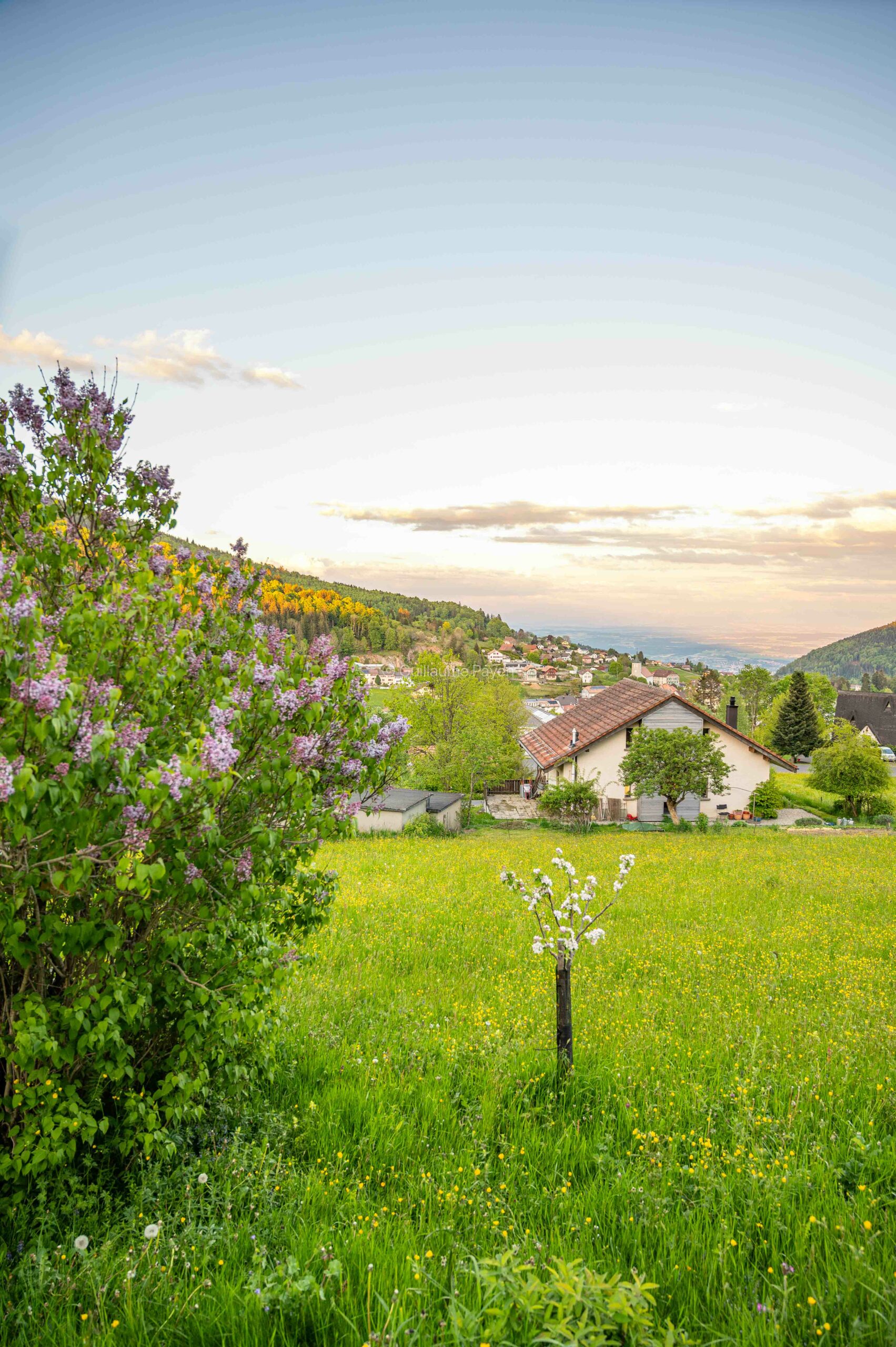 Logement insolite à Sainte Croix dans le Nord vaudois Logement insolite à Sainte Croix dans le Nord vaudois