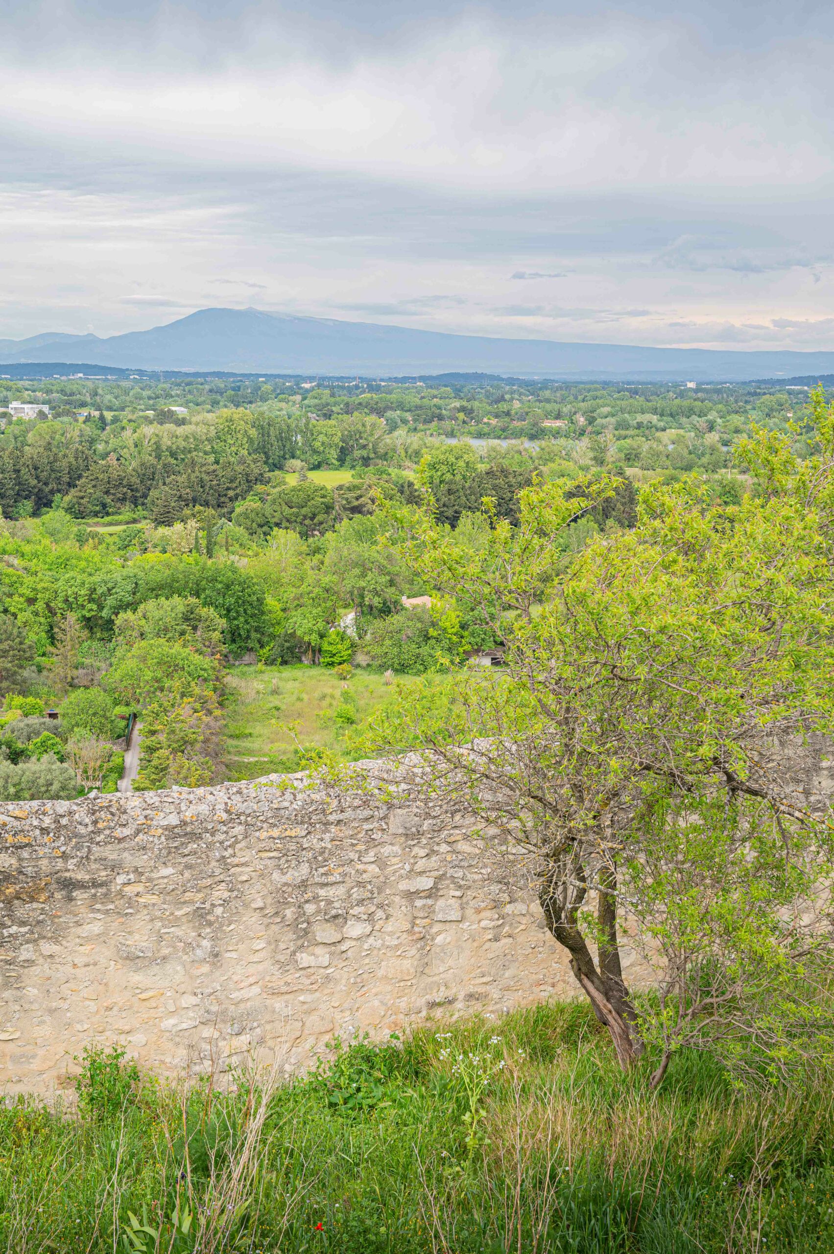 Vue sur le Mont Ventoux depuis l'Abbaye Saint-André à Villeneuve lès Avignon Vue sur le Mont Ventoux depuis Abbaye Saint-André à Villeneuve lès Avignon
