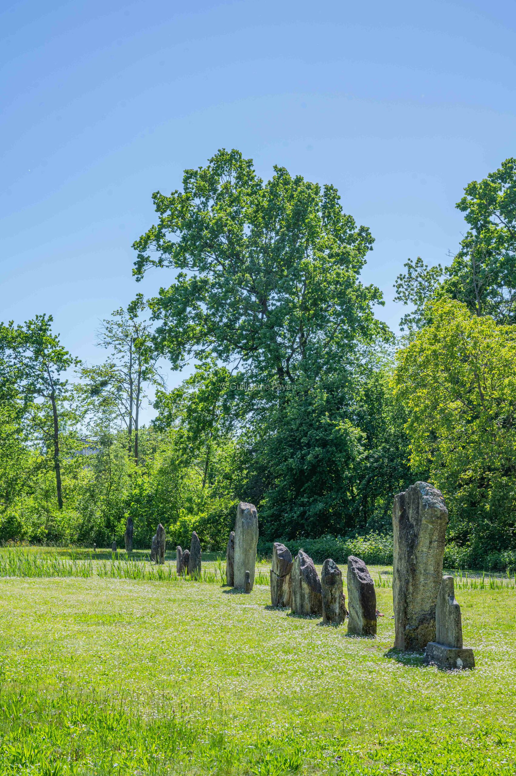 Les Menhirs de Clendy à Yverdon-les-Bains dans le Nord Vaudois en Suisse Les Menhirs de Clendy à Yverdon-les-Bains dans le Nord Vaudois en Suisse