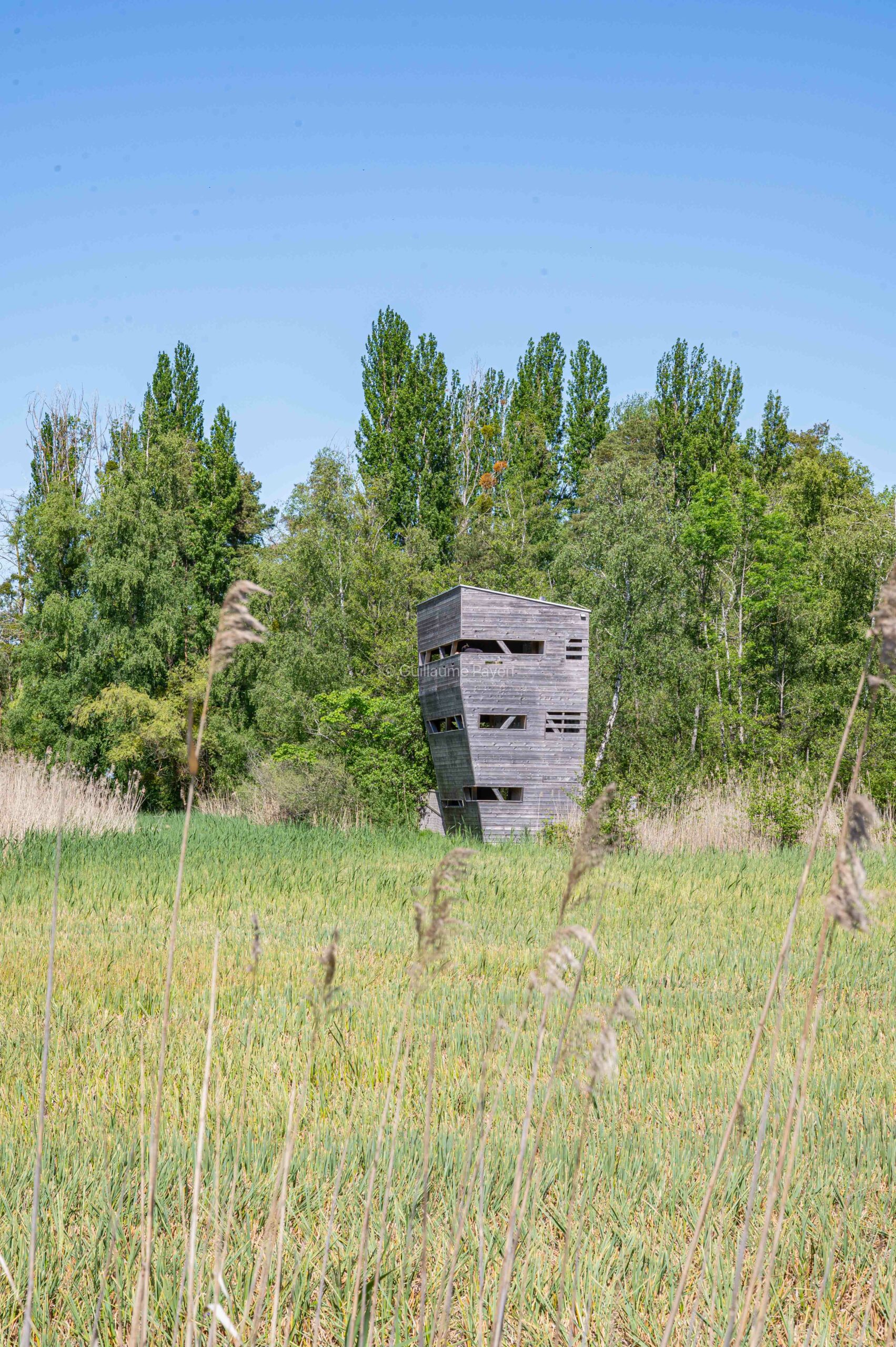 La réserve naturelle de la Grande Cariçaie à Yverdon-les-Bains dans le Nord Vaudois en Suisse La réserve naturelle de la Grande Cariçaie à Yverdon-les-Bains dans le Nord Vaudois en Suisse