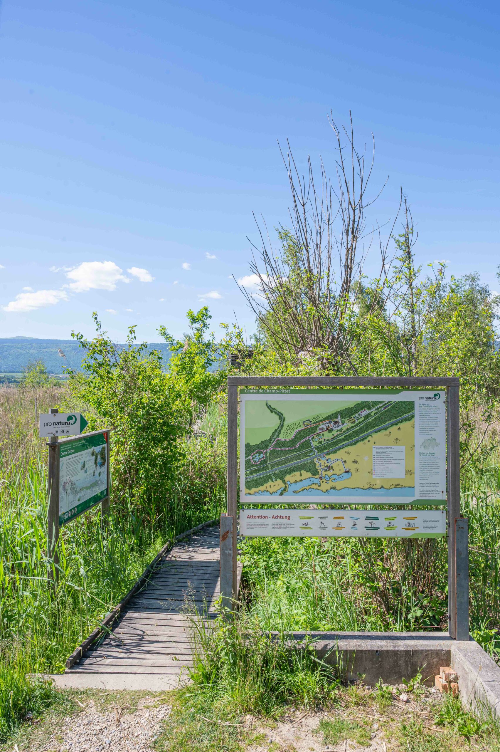 La réserve naturelle de la Grande Cariçaie à Yverdon-les-Bains dans le Nord Vaudois en Suisse La réserve naturelle de la Grande Cariçaie à Yverdon-les-Bains dans le Nord Vaudois en Suisse