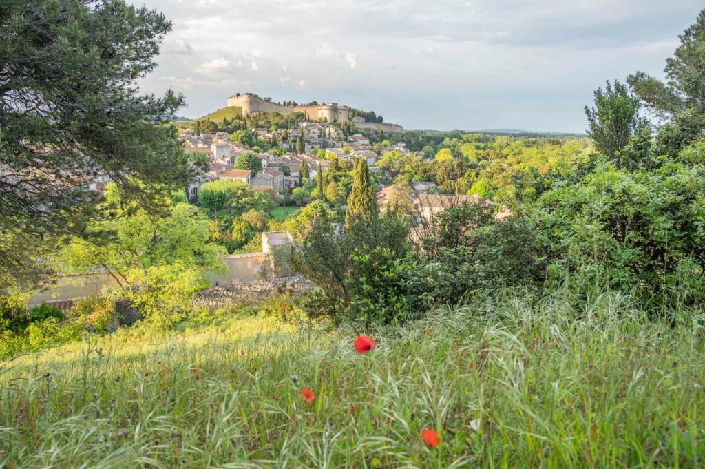 Vue sur le village de Villeneuve lès Avignon