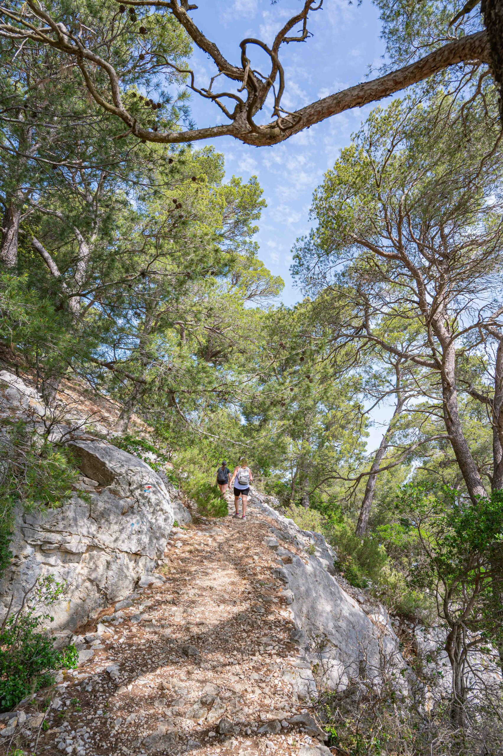 randonnée massif du Gros Cerveau proche de Toulon randonnée massif du Gros Cerveau proche de Toulon