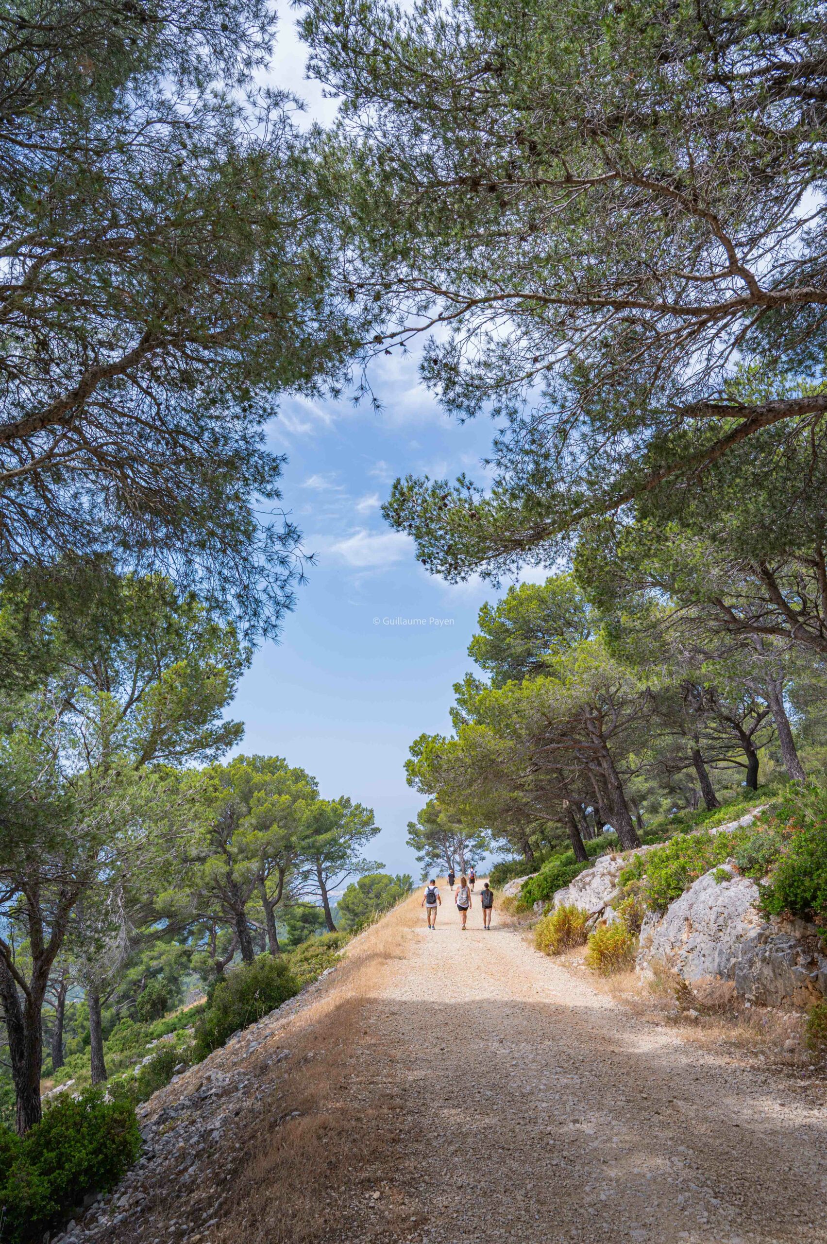 randonnée massif du Gros Cerveau proche de Toulon randonnée massif du Gros Cerveau proche de Toulon