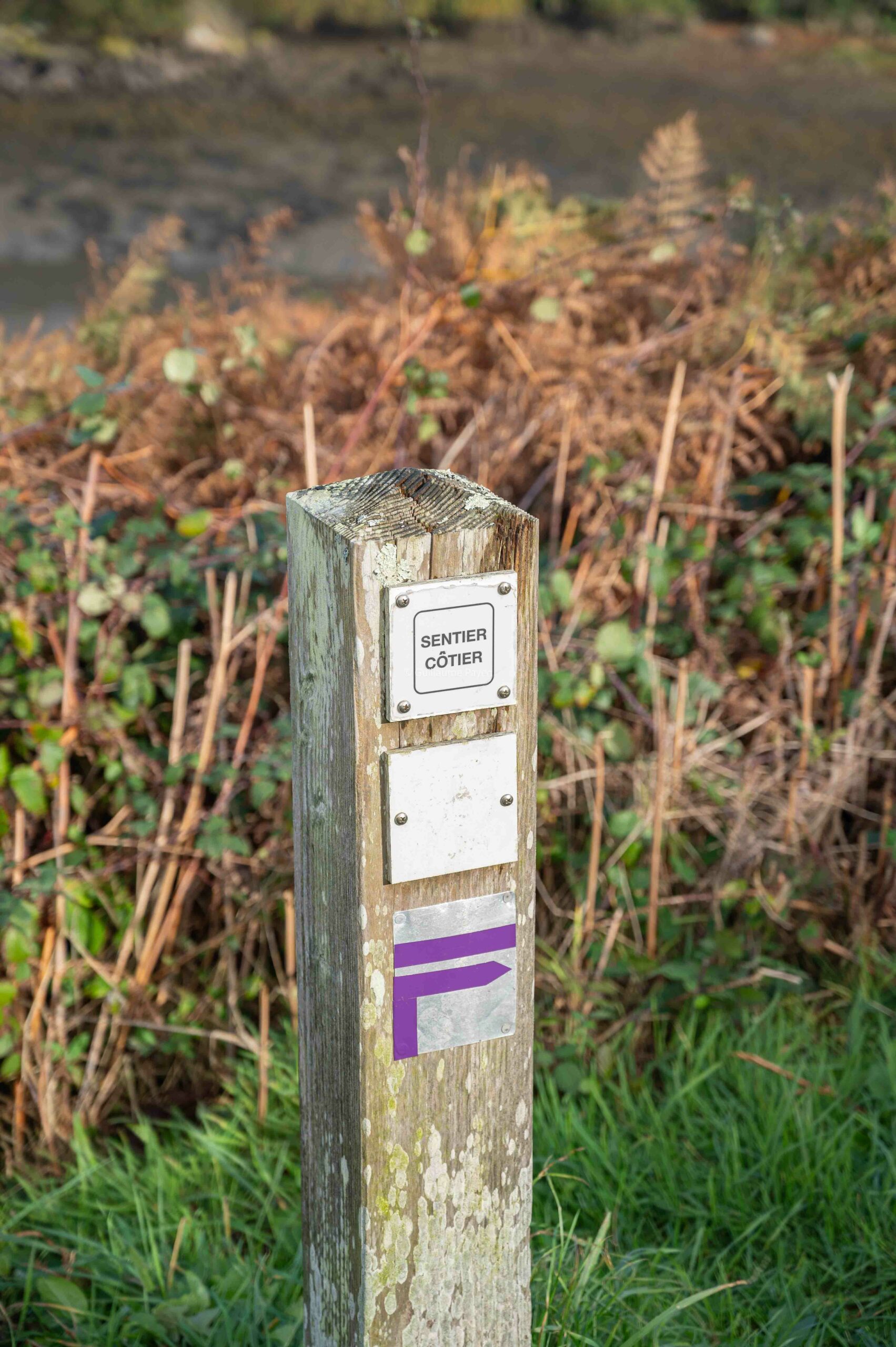 Vue sur L’Aber Wrac’h, entre Landéda et Lilia dans les Abers