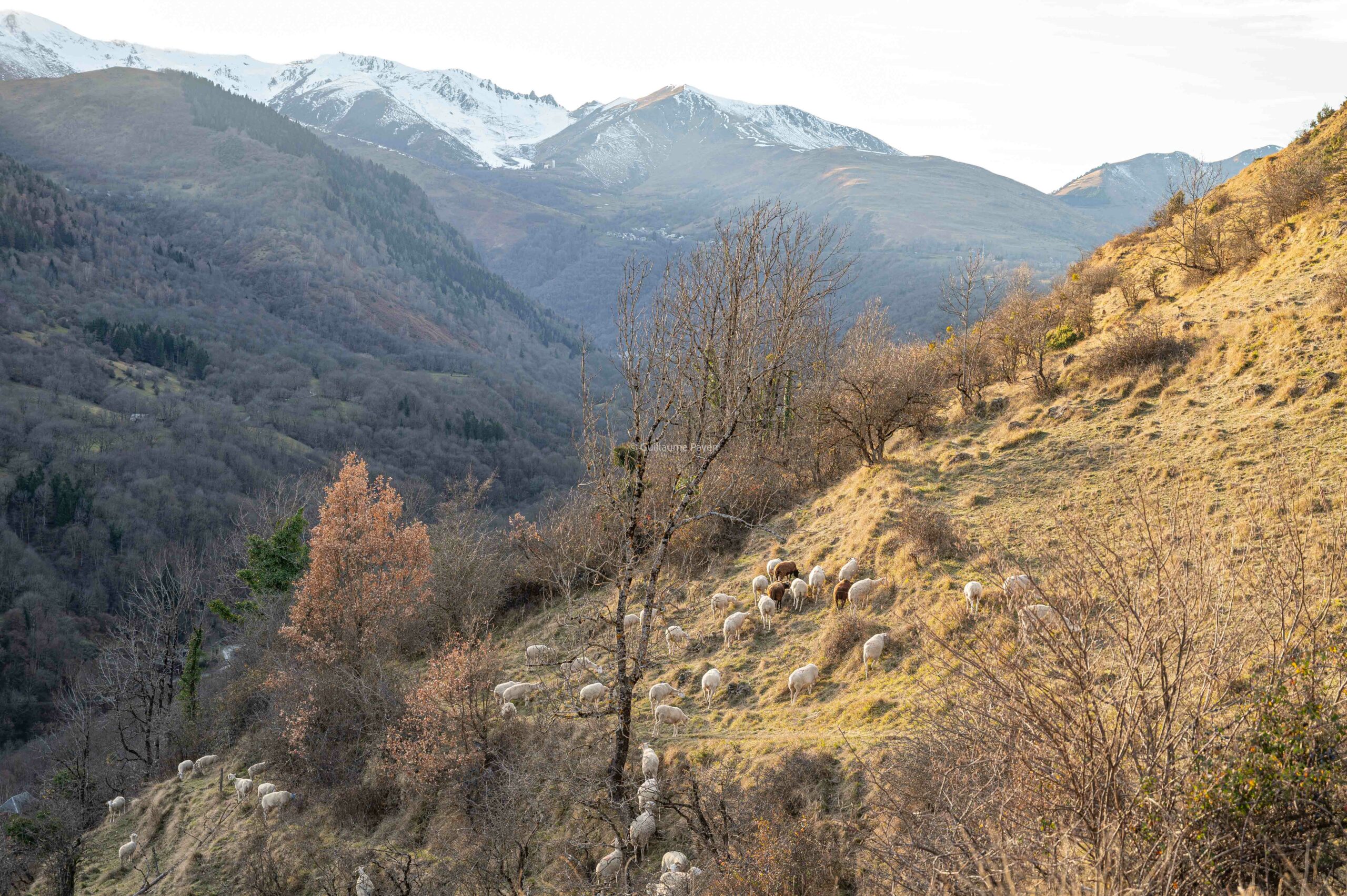 Vue sur les Pyrénées à Saint-Aventin village pyrénées 