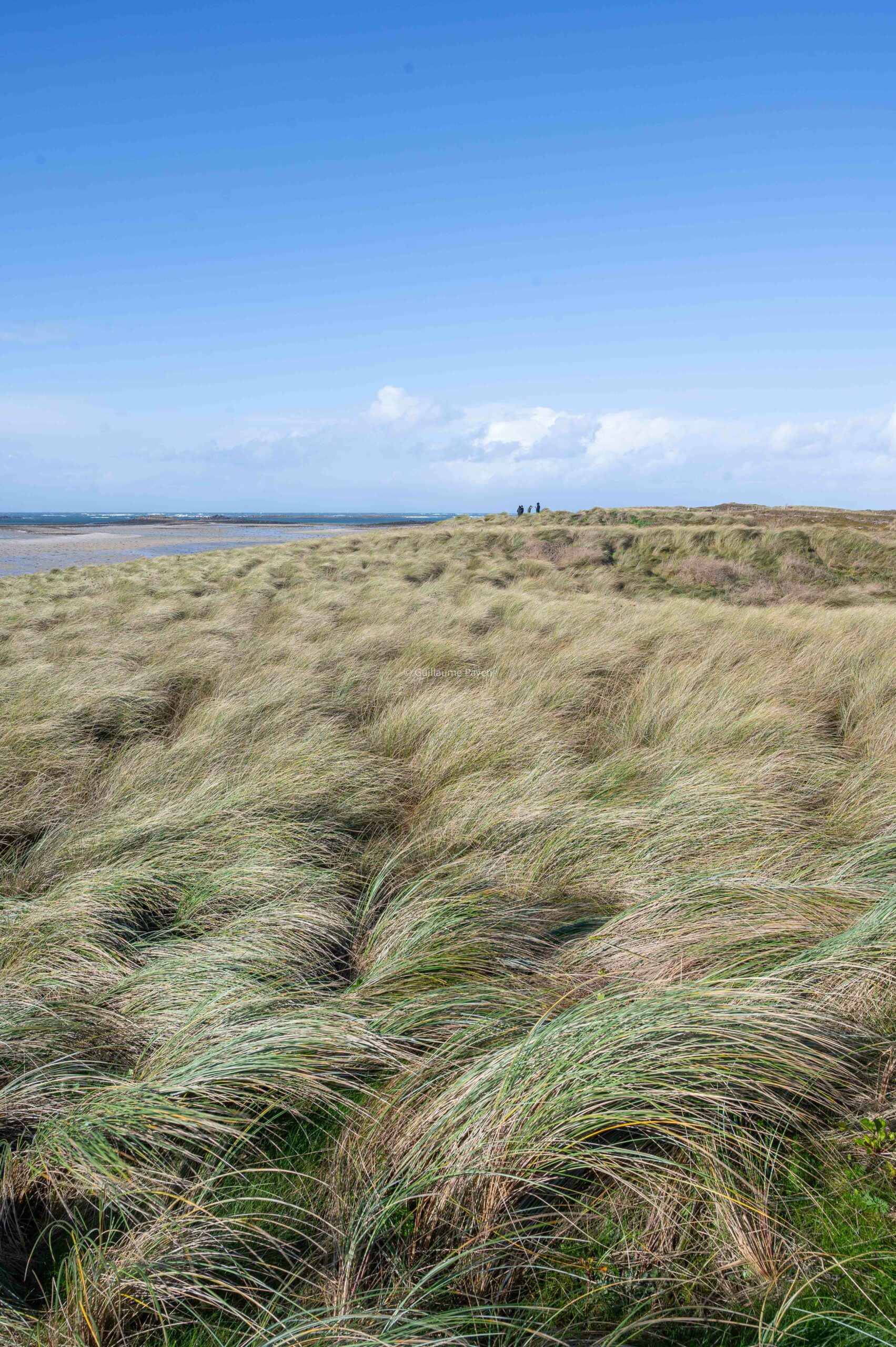 Plage et dune Sainte Margueritte, Abers, Finistère, Bretagne