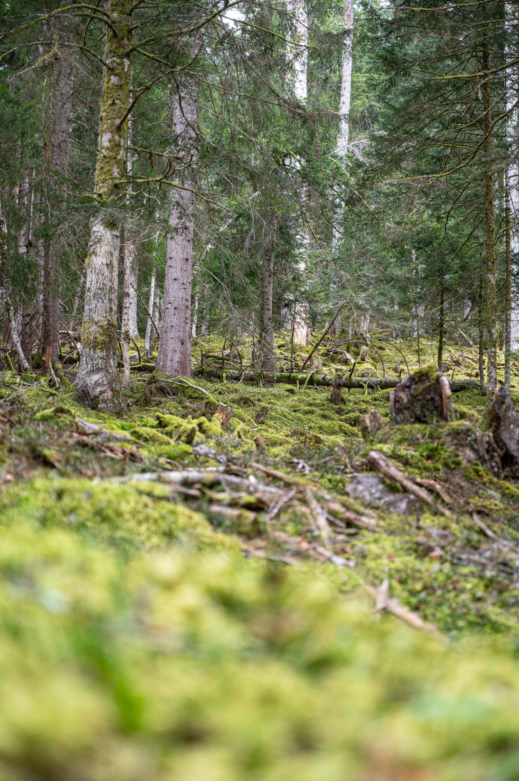 VTT de descente et trottinette sur la station du Mourtis