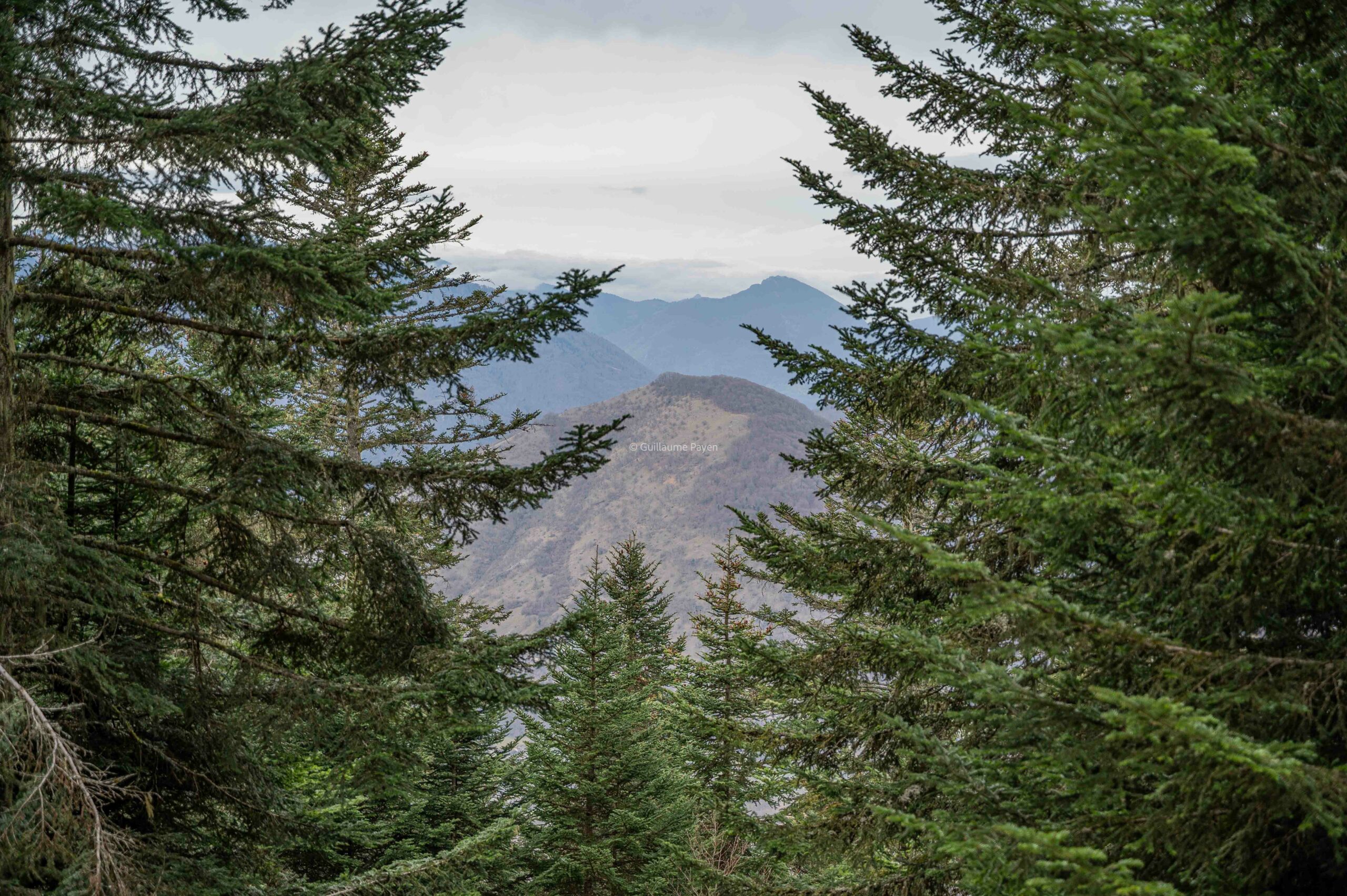 VTT de descente et trottinette sur la station du Mourtis