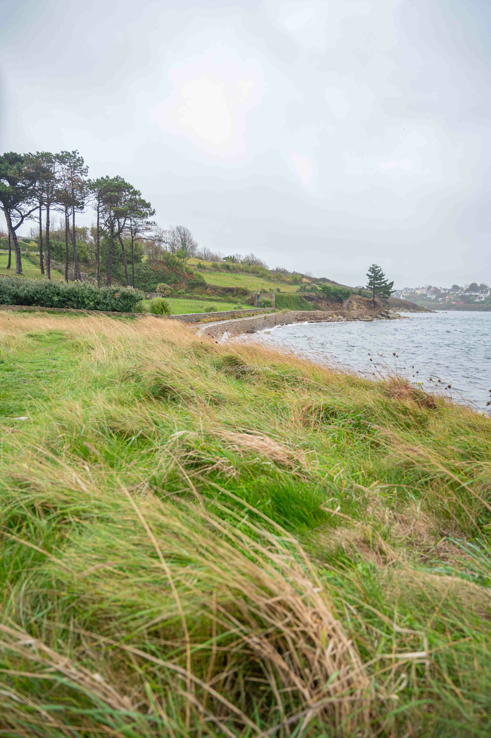 Pointe du Vill, Abers, Finistère, Bretagne