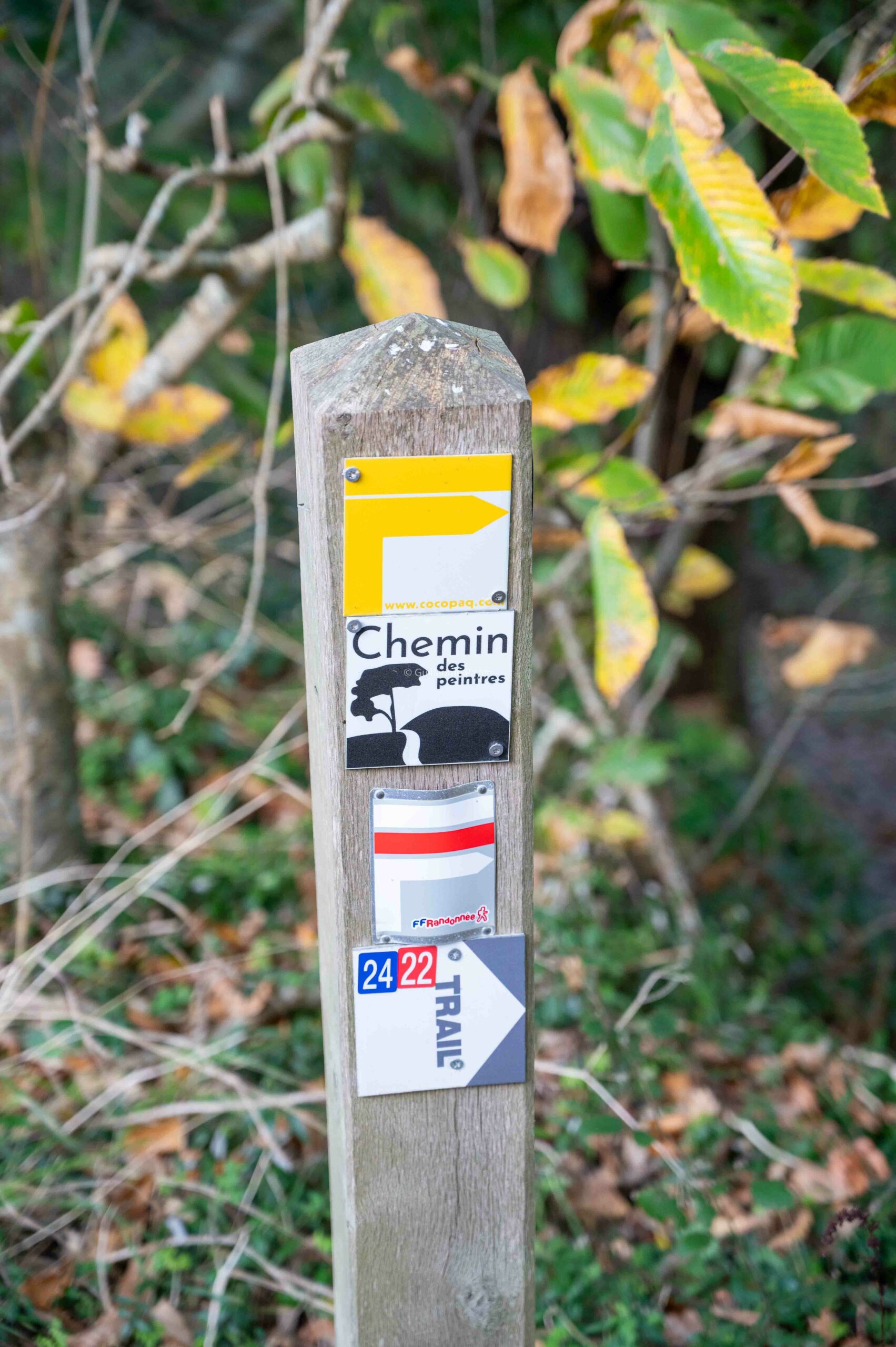 Le chemin des peintres dans les Rias Finistère