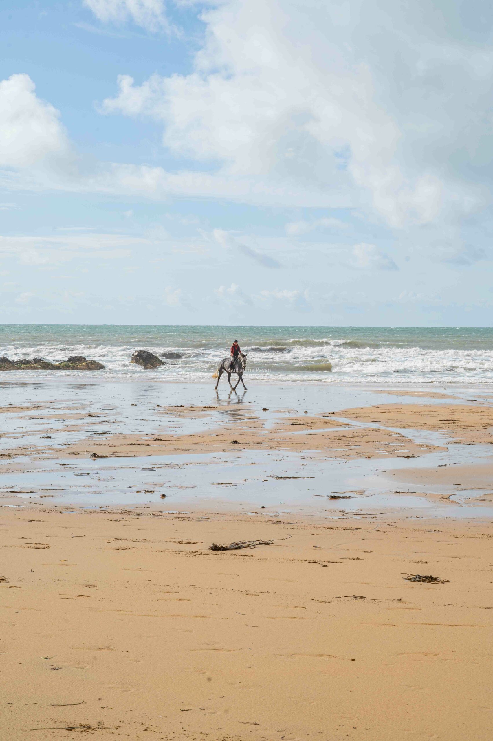Cheval sur la plage de Bellangenet dans les Rias Finistère