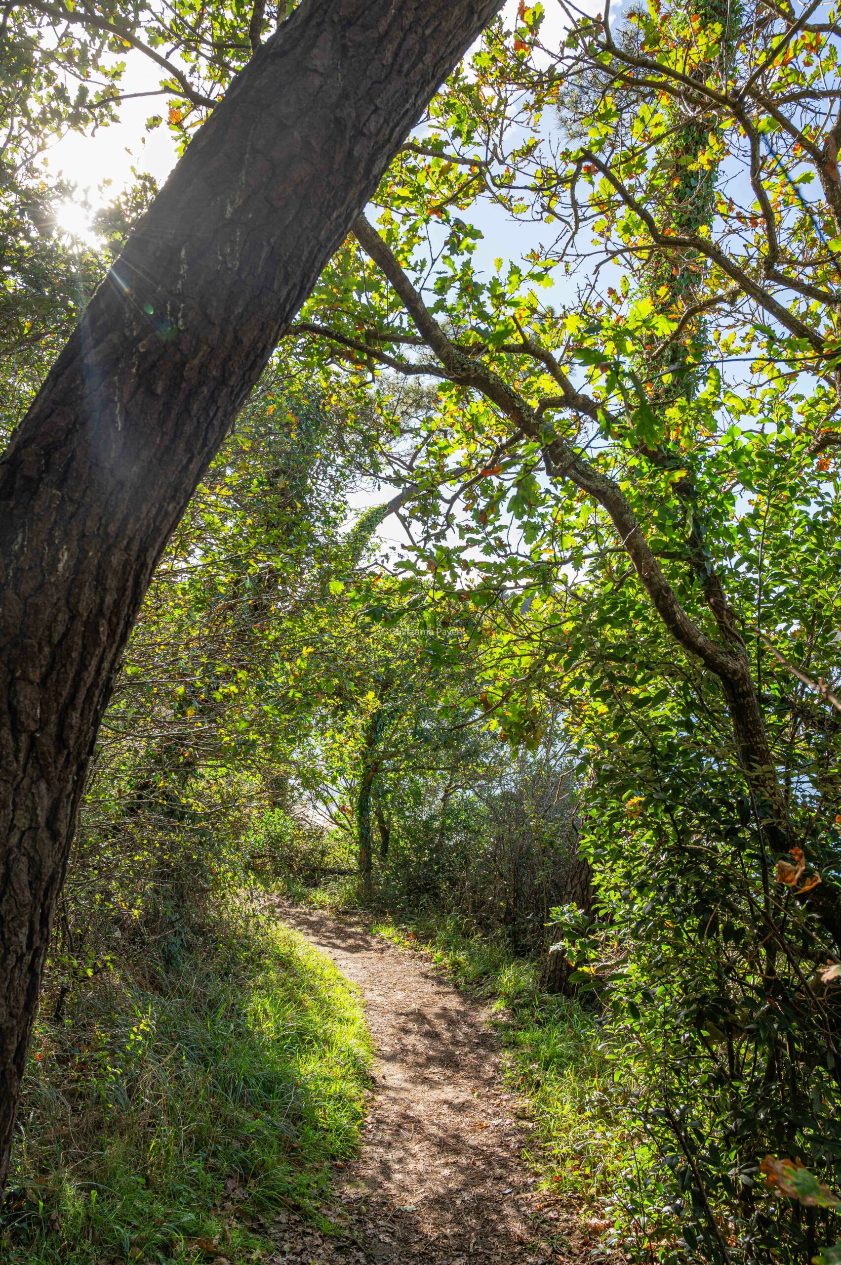 Port du Bélon dans les Rias Finistère Bretagne