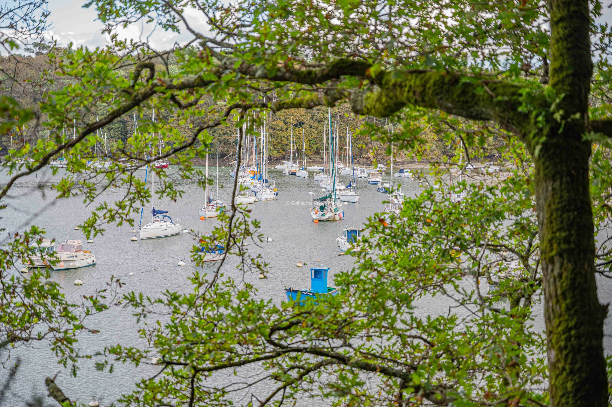Port du Bélon dans les Rias Finistère Bretagne