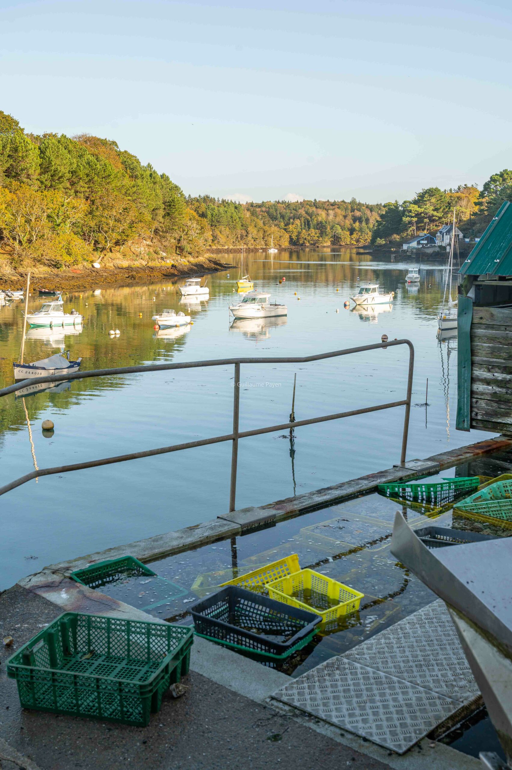 Les huitres de Morvan