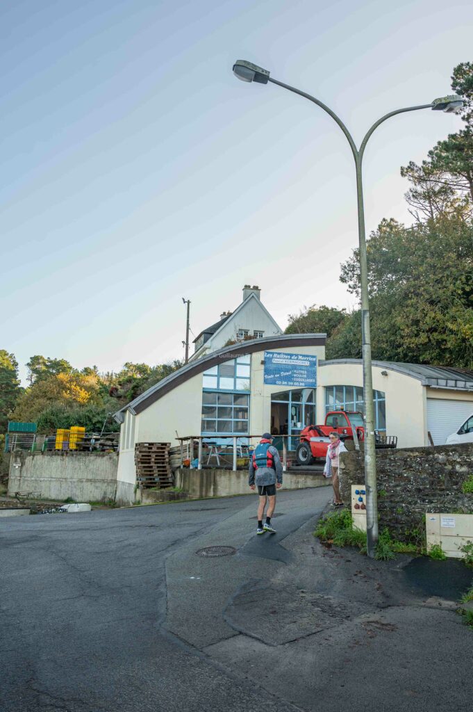 Les huitres de Morvan